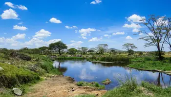 KILIMANJARO / ARUSHA / P. N. LAGO MANYARA / KARATU (ÁREA NGORONGORO)