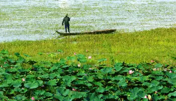 HO CHI MINH (DELTA DEL MEKONG)