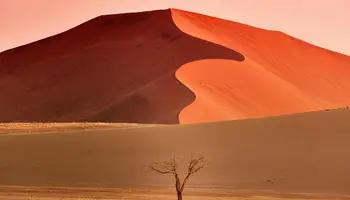 SWAKOPMUND / DESIERTO DE NAMIB