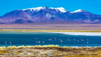 SAN PEDRO DE ATACAMA (SALAR DE ATACAMA Y LAGUNAS ALTIPLÁNICAS)
