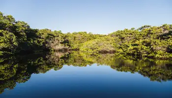 GALÁPAGOS (ISLA BALTRA: SENDERO DE LAS TORTUGAS) / GUAYAQUIL