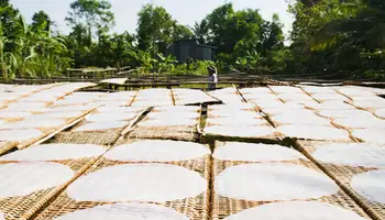 CRUCERO LA MARGUERITE (SA DEC / CAI BE)