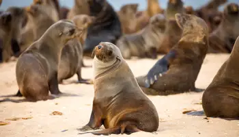 SWAKOPMUND / WALVIS BAY / DESIERTO DE NAMIB