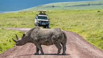 KARATU / P. N.SERENGETI