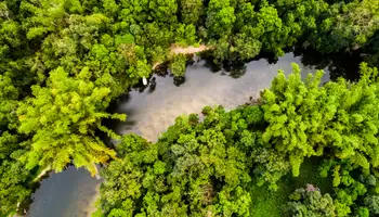LIMA/IQUITOS (CRUCERO EN EL AMAZONAS)