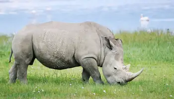 P. N. ABERDARE/ P. N.LAGO NAKURU