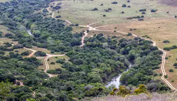 CIUDAD DEL CABO / PORT ELIZABETH / RESERVA PRIVADA AMAKHALA