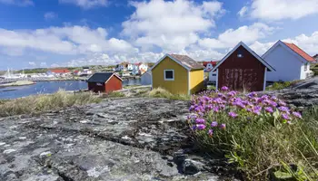 KARLSTAD / SAFARI DE FOCAS / GOTEMBURGO