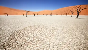 DESIERTO DE NAMIB