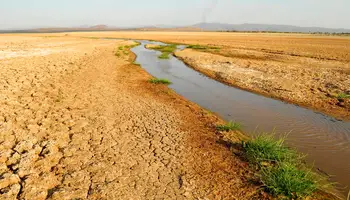 KILIMANJARO/ARUSHA/LAGO EYASI/KARATU