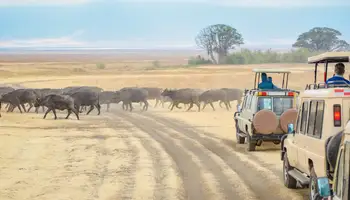 ÁREA KRUGER (RESERVA PRIVADA)