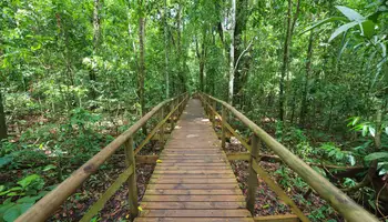 P N VOLCÁN ARENAL / P N MANUEL ANTONIO