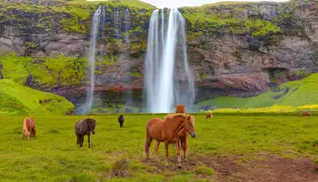 KEFLAVIK / VÍK Í MÝRDAL