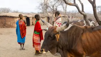 P. N. AMBOSELI / LAGO ELEMENTAITA