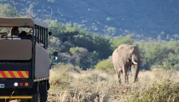 PARQUE NACIONAL DE PILANESBERG