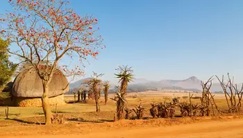 ÁREA KRUGER / ESUATINI (SWAZILANDIA)