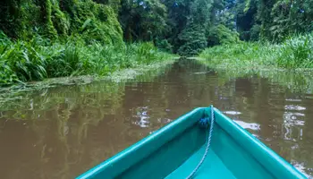 P N VOLCÁN ARENAL / P N TORTUGUERO