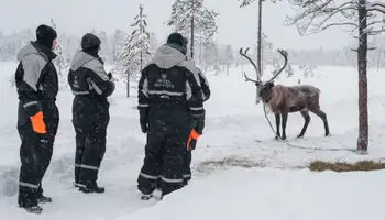 ISO SYÖTE: SAFARI EN MOTOS DE NIEVE Y GRANJA DE RENOS