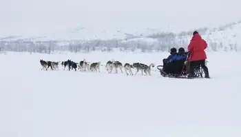 ALDEA DE SANTA CLAUS: SAFARI DE HUSKIES Y MUSEO ARKTIKUM