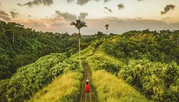 UBUD