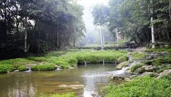 LA HABANA/LAS TERRAZAS/VIÑALES