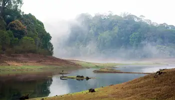 PERIYAR