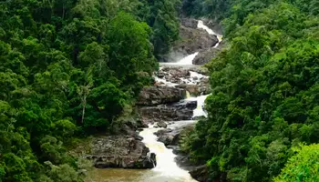 P. N. RANOMAFANA/SAHAMBAVY