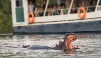 CATARATAS VICTORIA / KASANE – ZAMBEZI QUEEN