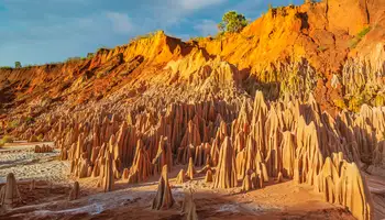 DIEGO SUÁREZ / TSINGYS ROJOS / P. N. MONTAÑA AMBRE / JOFFREVILLE