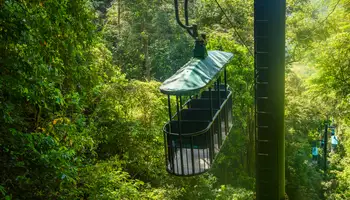 VOLCÁN ARENAL (SKY TRAM Y SKY WALK)