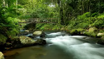 UBUD (BICICLETA/RAFTING)