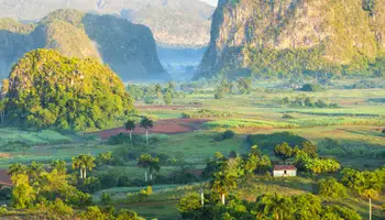 LA HABANA (VIÑALES)