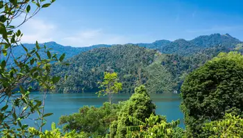 BELUM RAINFOREST / PENANG