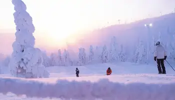 ROVANIEMI: EXCURSIÓN DE ESQUÍ DE FONDO