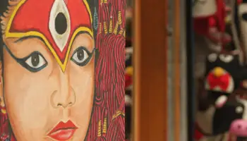 PARQUE NACIONAL DE CHITWAN / LUMBINI (165 KM / 4 H)