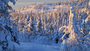 PYHÄ: VISITA A LA MINA DE AMATISTAS