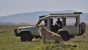 ÁREA DE SAMBURU / MASAI MARA