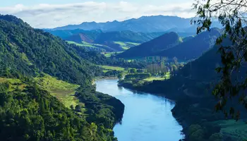 P. N. DE TONGARIRO / P. N. WHANGANUI / WELLINGTON (315 KM)