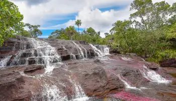 LA MACARENA (CAÑOS CRISTALES)