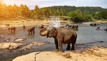 KANDY/RAMBUKKANA/PINNAWELA/KANDY