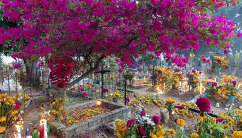 MORELIA (PUEBLOS MÁGICOS DE PÁTZCUARO Y TZINTZUNTZAN)