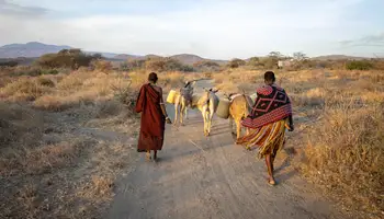 KILIMANJARO / ARUSHA / LAGO EYASI