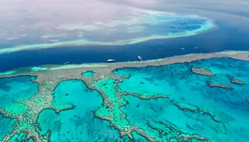 CAIRNS (GRAN BARRERA DE CORAL)