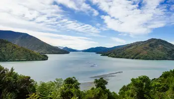 WELLINGTON/PICTON/NELSON (129 KM + 3 H DE FERRY)