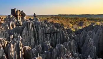 BEKOPAKA / P. N. TSINGY DE BEMARAHA / BEKOPAKA