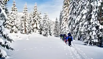 SALLA: SAFARI EN TRINEO DE PERROS ÁRTICOS, PASEO CON RAQUETAS Y PESCA EN HIELO