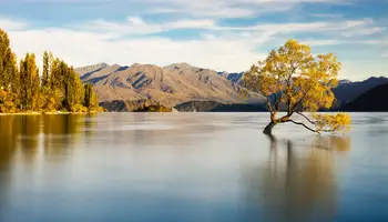 FRANZ JOSEF / WANAKA (287 KMS)