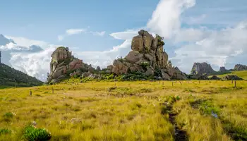 R. N. SAMBURU / P. N. ABERDARE