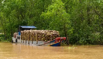 CRUCERO LA MARGUERITE (BEN TREE / VINH LONG)