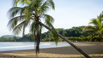 P N MANUEL ANTONIO O GUANACASTE